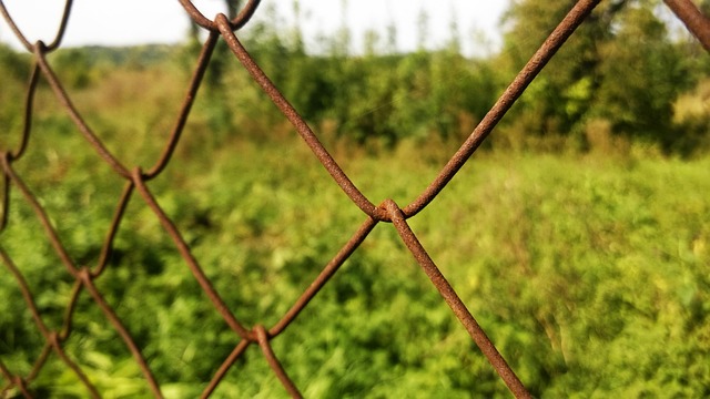 Plot je velmi důležitý. 